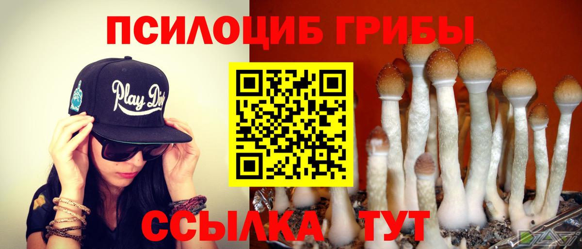 Галлюциногенные грибы GOLDEN TEACHER  что такое   Мирный  Вход с VPN 