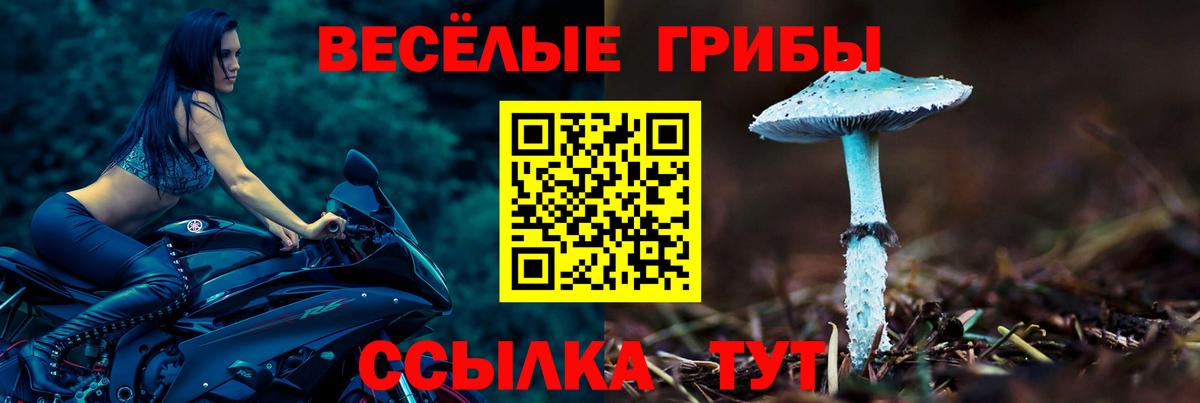 Галлюциногенные грибы Psilocybine cubensis Мирный